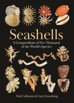 Seashells - Callomon, Paul Seashells - Callomon, Paul