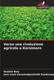 Verso una rivoluzione agricola a Korsimoro