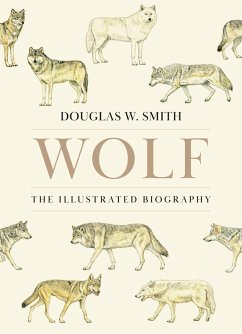 Wolf - Smith, Douglas W Wolf - Smith, Douglas W