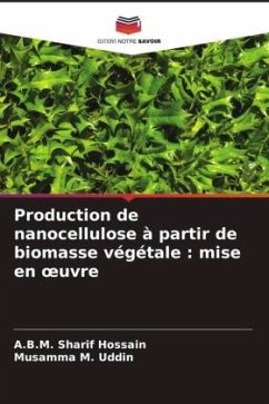 Cover Production de nanocellulose à partir de biomasse végétale : mise en ¿uvre