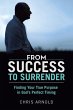 From Success to Surrender - Bild 1