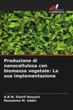 Cover Produzione di nanocellulosa con biomassa vegetale: La sua implementazione