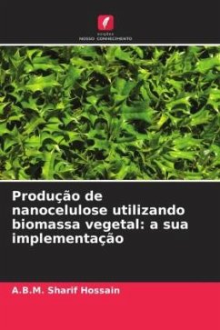 Cover Produção de nanocelulose utilizando biomassa vegetal: a sua implementação
