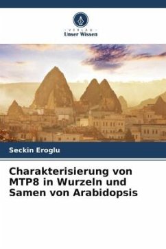 Cover Charakterisierung von MTP8 in Wurzeln und Samen von Arabidopsis