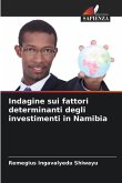 Indagine sui fattori determinanti degli investimenti in Namibia Indagine sui fattori determinanti degli investimenti in Namibia