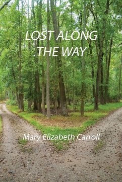 Cover Lost Along the Way