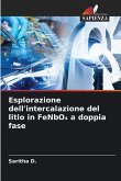 Esplorazione dell'intercalazione del litio in FeNbO¿ a doppia fase Esplorazione dell'intercalazione del litio in FeNbO¿ a doppia fase