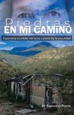 Piedras en mi Camino Piedras en mi Camino
