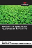Towards an agricultural revolution in Korsimoro