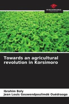 Cover Towards an agricultural revolution in Korsimoro