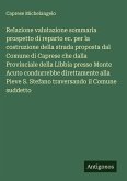 Relazione valutazione sommaria prospetto di reparto ec. per la costruzione della strada proposta dal Comune di Caprese che dalla Provinciale della Libbia presso Monte Acuto condurrebbe direttamente alla Pieve S. Stefano traversando il Comune suddetto Relazione valutazione sommaria prospetto di reparto ec. per la costruzione della strada proposta dal Comune di Caprese che dalla Provinciale della Libbia presso Monte Acuto condurrebbe direttamente alla Pieve S. Stefano traversando il Comune suddetto
