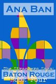 The Strangers Saga The Strangers Saga