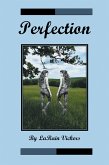 Perfection (eBook, ePUB)