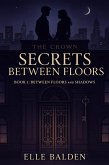 Secrets Between Floors - Book 1: Between Floors and Shadows (eBook, ePUB)