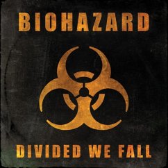 Cover Divided We Fall