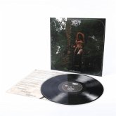 Into The Realm (Black Vinyl) Into The Realm (Black Vinyl)