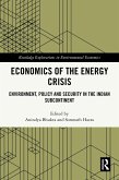 Economics of the Energy Crisis (eBook, PDF)