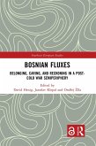 Bosnian Fluxes (eBook, PDF)