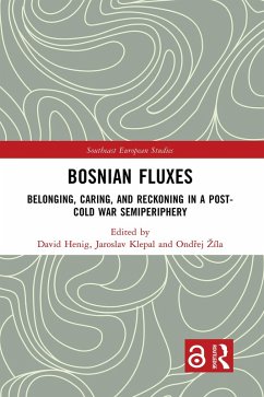 Bosnian Fluxes (eBook, PDF)