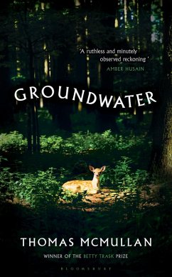 Cover Groundwater (eBook, ePUB)