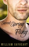 Sweet Spring Fling (Love in Port Harbor) (eBook, ePUB)