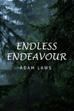Endless Endeavour (eBook, ePUB) - Laws, Adam