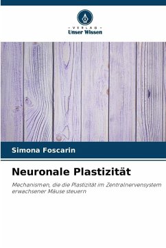 Cover Neuronale Plastizität