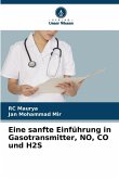 Eine sanfte Einführung in Gasotransmitter, NO, CO und H2S Eine sanfte Einführung in Gasotransmitter, NO, CO und H2S