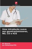 Uma introdução suave aos gasotransmissores, NO, CO e H2S Uma introdução suave aos gasotransmissores, NO, CO e H2S