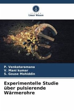 Cover Experimentelle Studie über pulsierende Wärmerohre