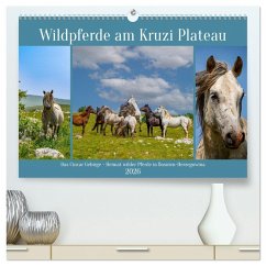 Wildpferde am Kruzi Plateau (hochwertiger Premium Wandkalender 2026 DIN A2 quer), Kunstdruck in Hochglanz - Calvendo;Di Chito, Ursula
