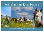 Wildpferde am Kruzi Plateau (Tischkalender 2026 DIN A5 quer), CALVENDO Monatskalender