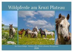 Wildpferde am Kruzi Plateau (Tischkalender 2026 DIN A5 quer), CALVENDO Monatskalender - Calvendo;Di Chito, Ursula