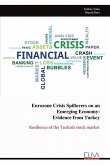 Eurozone Crisis Spillovers on an Emerging Economy Eurozone Crisis Spillovers on an Emerging Economy
