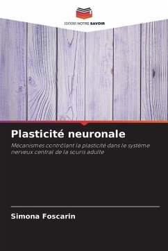 Plasticité neuronale Cover Plasticité neuronale