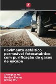 Pavimento asfáltico permeável fotocatalítico com purificação de gases de escape Pavimento asfáltico permeável fotocatalítico com purificação de gases de escape
