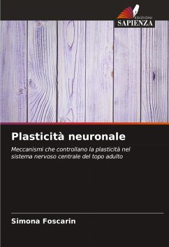 Plasticità neuronale - Foscarin, Simona