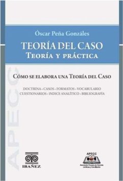 Cover Teoría del caso. teoría y práctica (eBook, PDF)