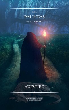 Cover Aufstieg (eBook, ePUB)