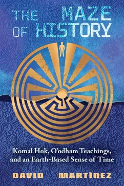 Cover The Maze of History (eBook, ePUB)
