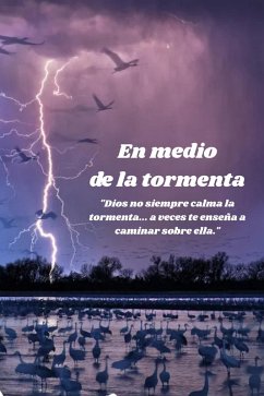 Cover En medio de la tormenta (eBook, ePUB)