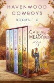Havenwood Cowboys Romance Series (eBook, ePUB)