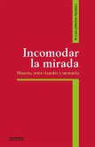 Incomodar la mirada (eBook, ePUB)