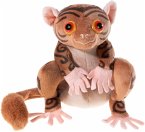 SDMT Koboldmaki Fitzgeraldo GRS