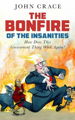 The Bonfire of the Insanities (eBook, ePUB) - Crace, John