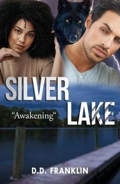 Cover Silver Lake (eBook, ePUB)