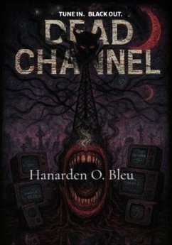 Cover Dead Channel (eBook, ePUB)