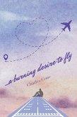 ...a burning desire to fly (eBook, ePUB)