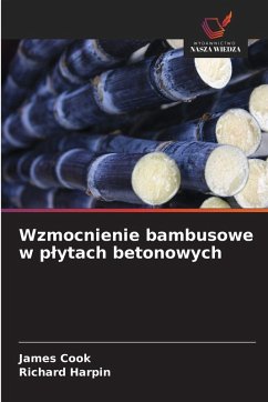 Wzmocnienie bambusowe w p¿ytach betonowych - Cook, James;Harpin, Richard