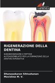 RIGENERAZIONE DELLA DENTINA RIGENERAZIONE DELLA DENTINA